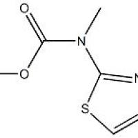 1000576-79-3/	 (4-溴噻唑-2-基)甲基氨基甲酸叔丁酯,	95%