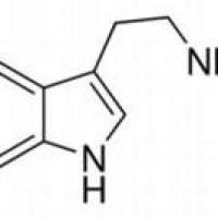 153-98-0/5-羟色胺盐酸盐 ,	分析标准品,HPLC≥98%