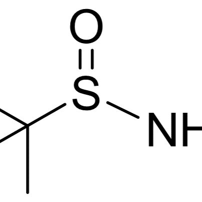 146374-27-8/	 叔丁基亚磺酰胺 ,	98%