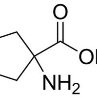 52-52-8/ 1-氨基环戊甲酸, 98%