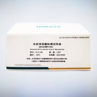 支原体核酸检测试剂盒