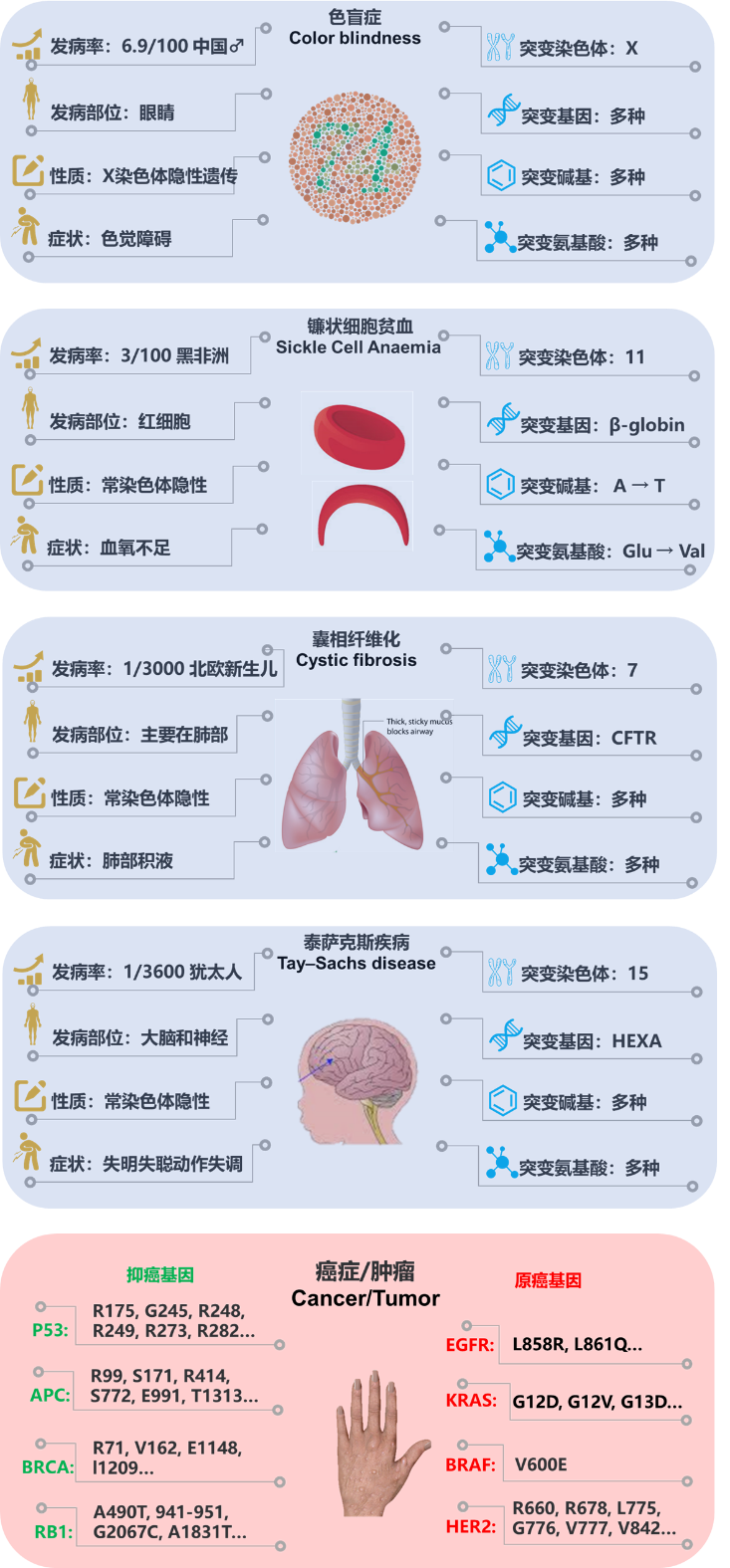 变变变，三分钟带你全面了解点突变大小鼠