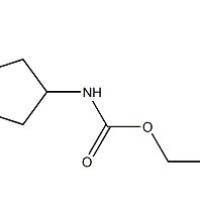 1427475-13-5/	 N-CBZ-3-氨基环戊甲酸 ,>97%