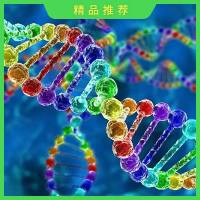 全长转录组测序