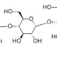 74173-30-1/4-Nitrophenyl α-D-maltohexaoside
