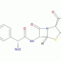 34642-77-8/ 阿莫西林钠 , 98%