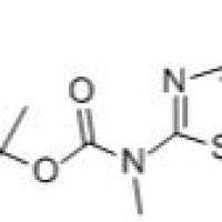697299-87-9/	 (4-溴噻唑-2-基)甲基氨基甲酸叔丁酯,	97%