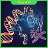 全基因组关联分析