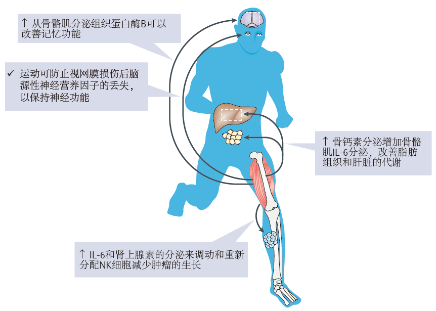 如何开展运动功能相关研究？你需要这个解决方案！