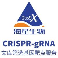 CRISPR-gRNA文库筛选基因靶点服务