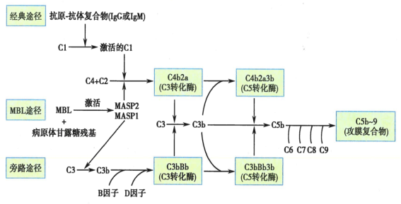 新闻图片4