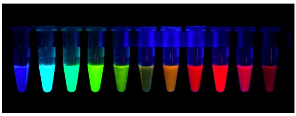 技术干货 | 活体成像中荧光蛋白挑选指南