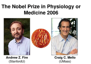 沉默是「金」｜RNAi 那些事你都 Get 了么？