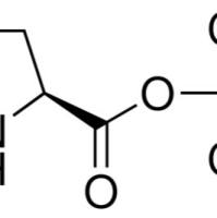 35418-16-7/	 L-焦谷氨酸叔丁酯 ,	98%