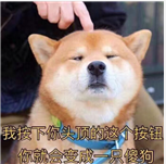 新闻图片2