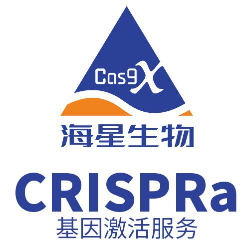 CRISPRa（基因激活）服务
