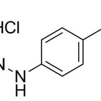 128231-55-0.4-叔丁基肼盐酸盐