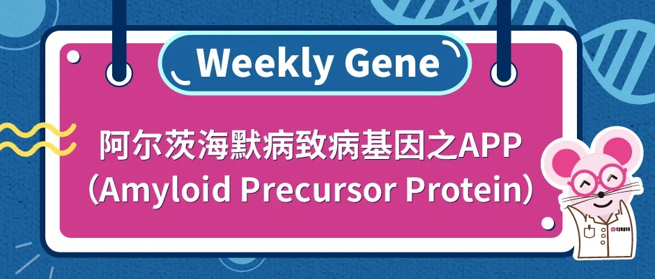 APP完全性敲除小鼠和APP条件性敲除小鼠-阿尔茨海默病致病基因之APP