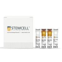 EasySep™非人灵长类B细胞分选试剂盒