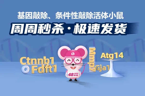 新闻图片6