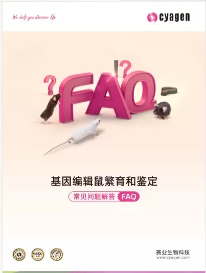 新闻图片2
