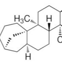 38966-21-1/ 艾菲地可宁 , 98%