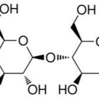53643-13-3/4-甲基伞形酮基Β-D-N,N`,N``-三乙酰基壳三糖苷