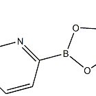 1101205-22-4/5-甲吡啶-2-硼酸频哪醇酯