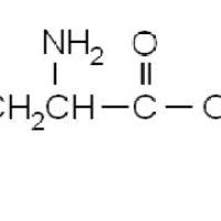 39741-62-3/	 L-谷氨酰胺叔丁酯盐酸盐 ,98%