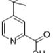 42205-74-3/4 - 叔丁基吡啶甲酸