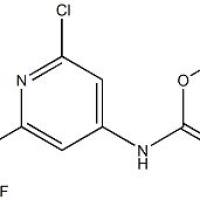 1373223-18-7/(2-氯-6-三氟甲基-吡啶-4-基)-甲酸叔丁酯