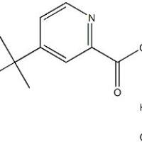 123811-75-6/4-(叔丁基)吡啶甲酸盐酸盐 ,	95%