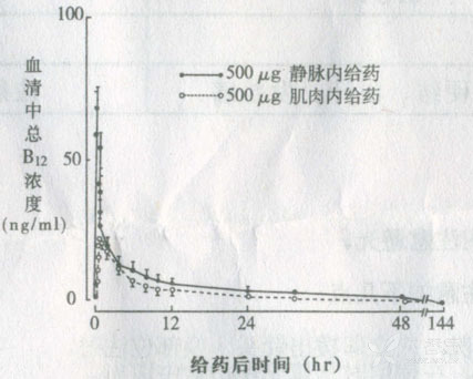 图片预览