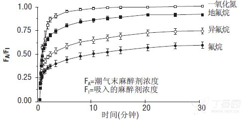 图片预览