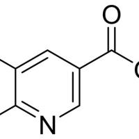 56055-54-0/	 5,6-二氯烟酸甲酯,	97%