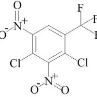 29091-09-6/2,4-二氯-3,5-二硝基三氟甲