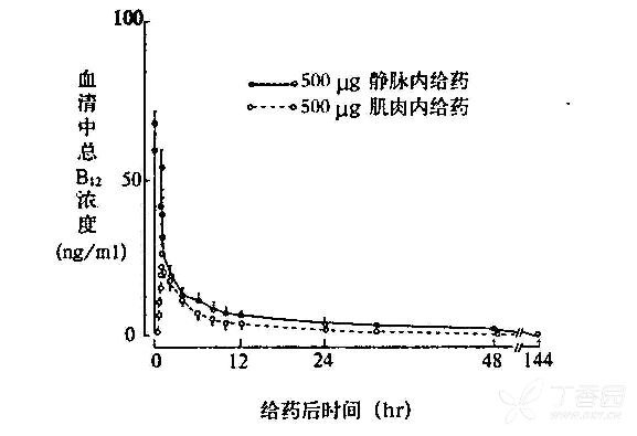 图片预览