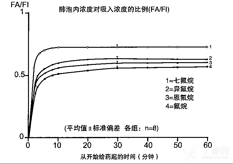 图片预览