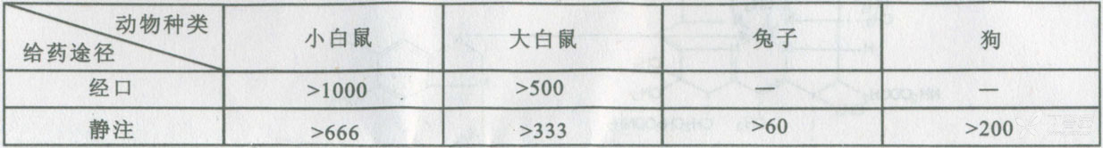 图片预览