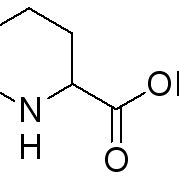 4043-87-2/ DL-啶甲酸 , 97%