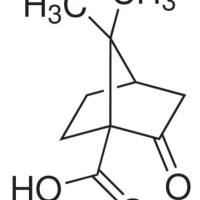 40724-67-2/	 (S)-(+)-酮基蒎酸,	99%