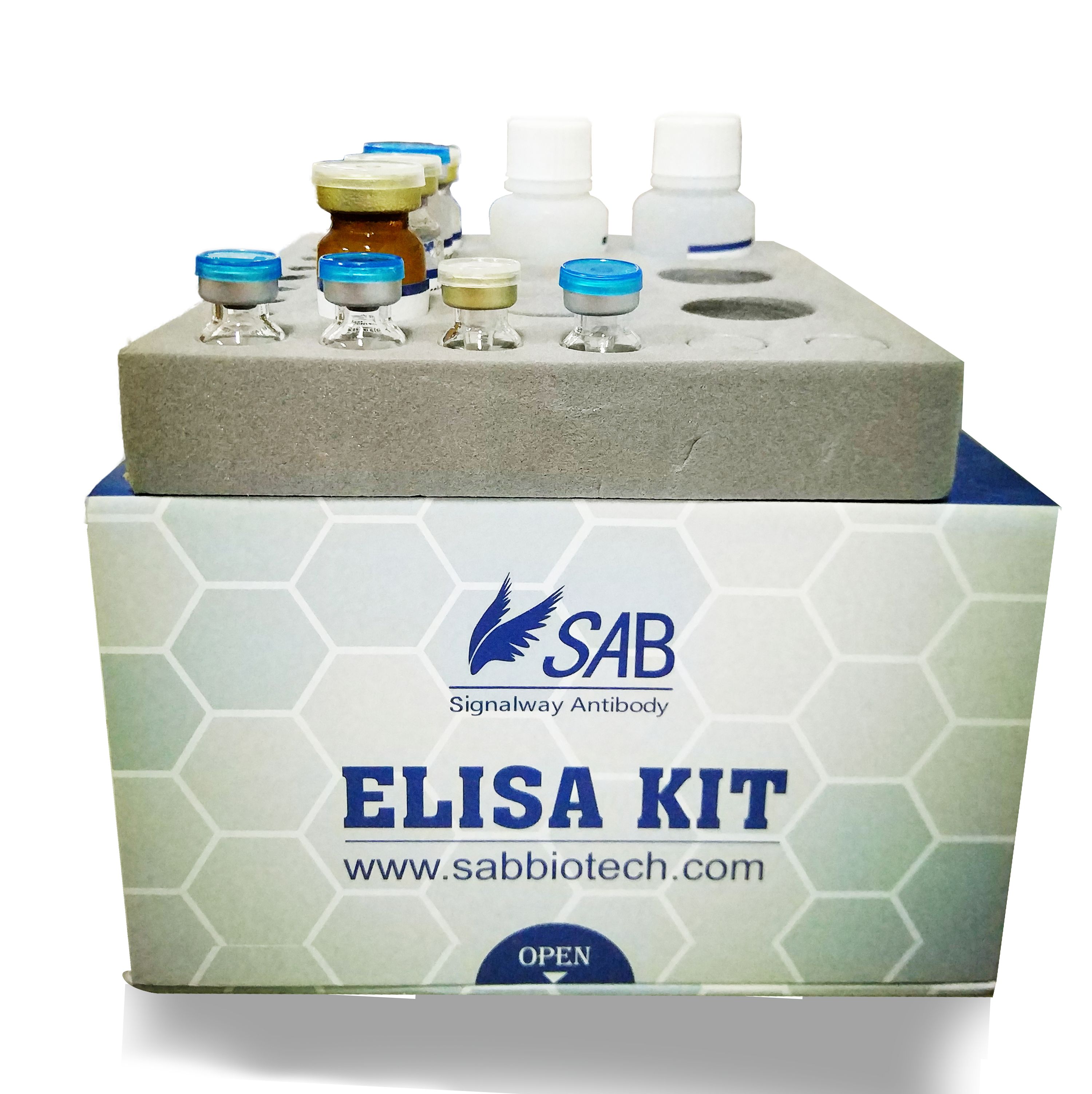 Human NAD-dependent deacetylase sirtuin-1 ELISA Kit