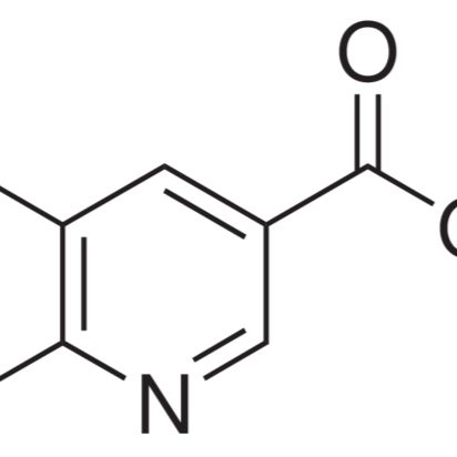 41667-95-2/5,6-二氯烟酸 ,98%