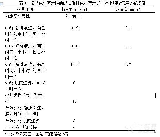 图片预览