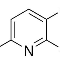 40381-90-6/2,6-二氯吡啶-3-甲腈 ,	97%