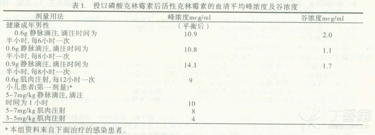 图片预览