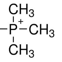 4519-28-2/四甲基溴化,98%