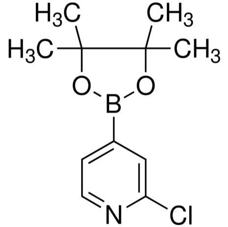 458532-84-8/ 2-氯-吡啶-4-硼酸频哪醇酯,98%