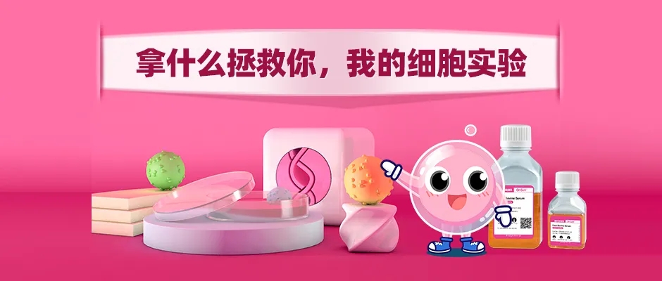 干细胞系列产品及技术服务