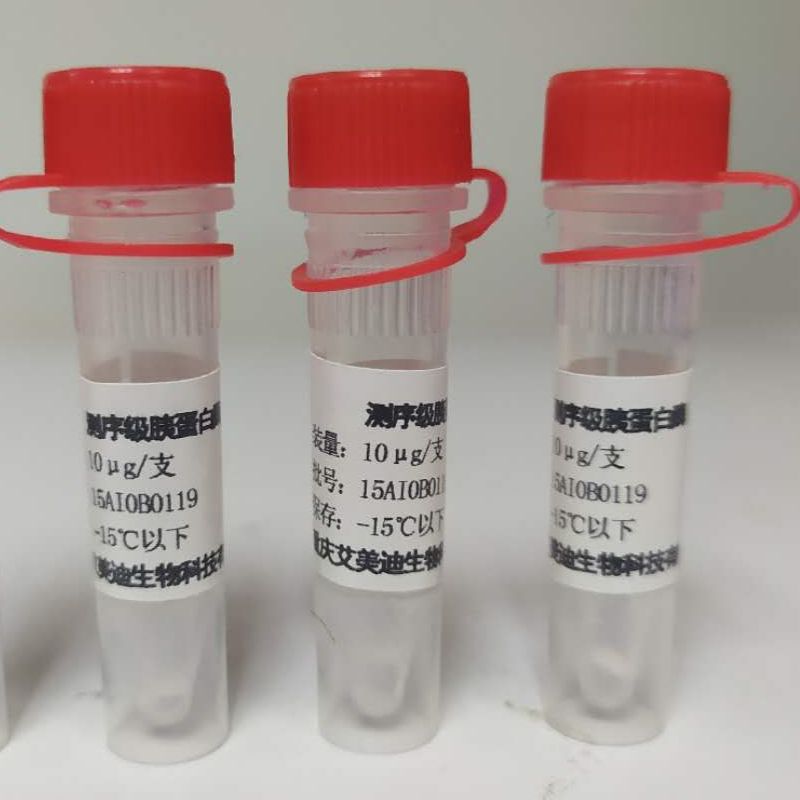 测序级重组胰蛋白酶MTrypsin